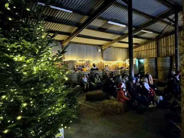 Christmas Barn Cinema